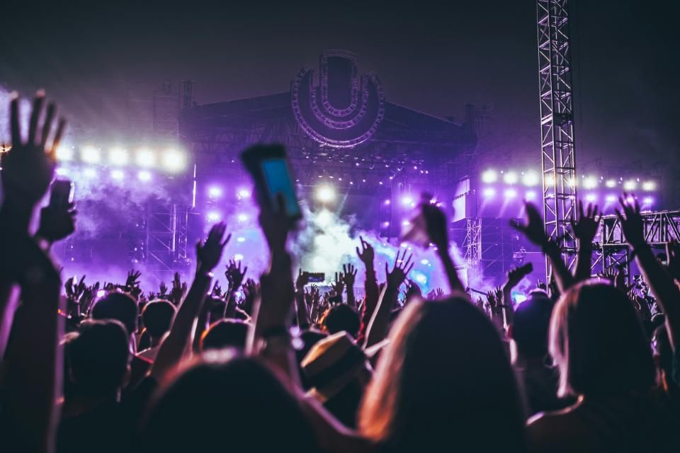 Concert crowd enjoying a live performance